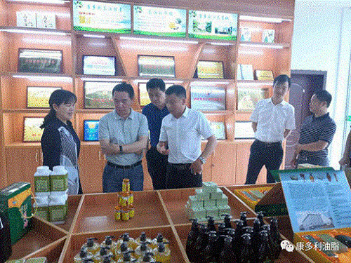 菲彩国际,油茶种植生产加工销售,植物油种植生产加工销售 菲彩国际,油茶种植生产加工销售,植物油种植生产加工销售
